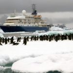 Considering an Arctic or Antarctic Cruise? Here Are the Differences Between the Two Destinations