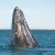 The Best West Coast Departure Cruise Options