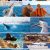 whale watching in southern california