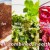 Raw Food Cruise: Discover Raw Food and Croatia