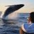 Go Whale-Watching With Fred. Olsen Cruise Lines and ORCA