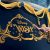 The Exciting Future for the Disney Cruise Line
