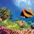 Coral Expeditions to Have New Cruises to Great Barrier Reef