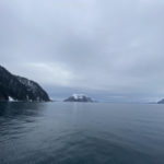 A Look at Major Marine Cruises’ Alaskan Spring Wildlife Cruise